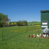 Electrisch bedienbaar pluimvee net 50m, h 1.2m