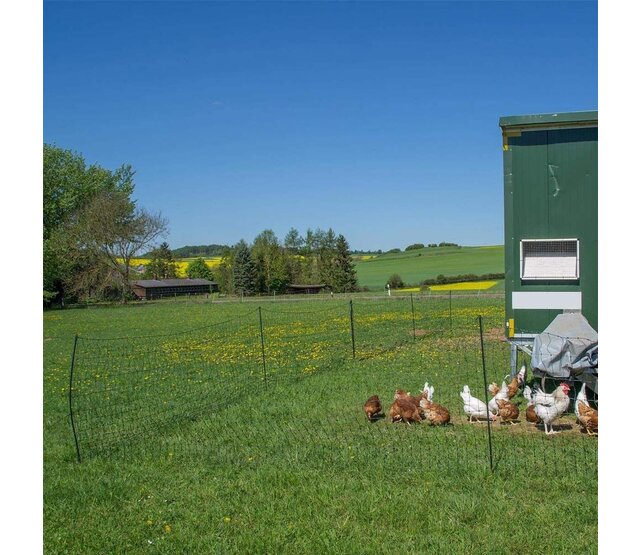 Electrifiable poultry net 50m, h 1.2m