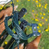 Electrisch bedienbaar pluimvee net 50m, h 1.2m