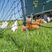 Filet volaille électrifiable 50m, h 1.2m Filet volaille électrifiable 50m, h 1.2m