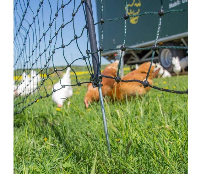 Filet volaille électrifiable 50m, h 1.2m Filet volaille électrifiable 50m, h 1.2m