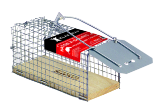 Nasse à souris 12 cm KLAKTRAP