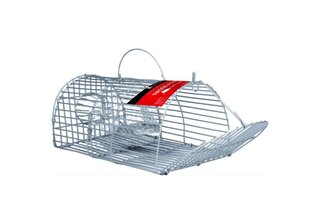 Nasse à rats 40 cm KLAKTRAP