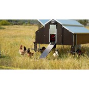 Mobile hen house 30 hens - Copele