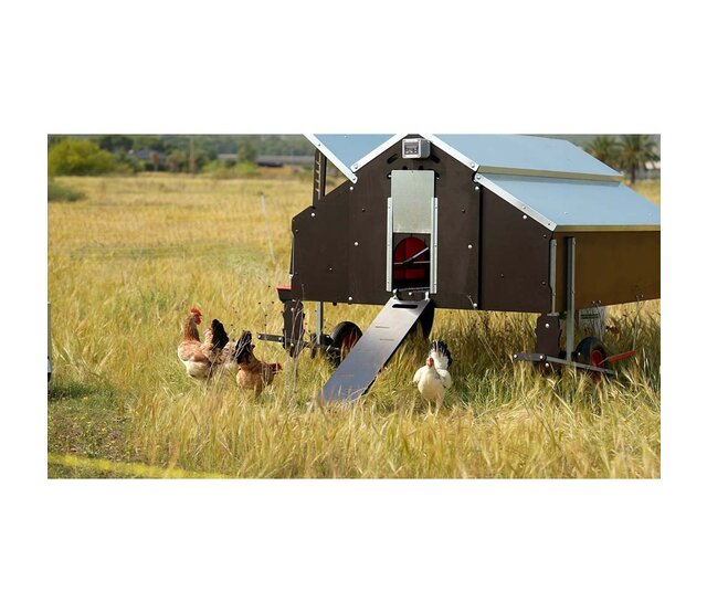 Poulailler mobile 30 poules - Copele