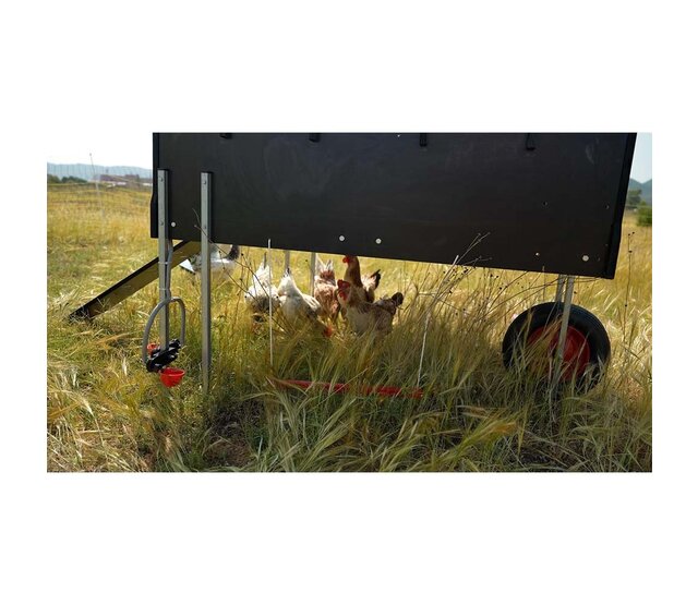 10 hens mobile hen house - Copele