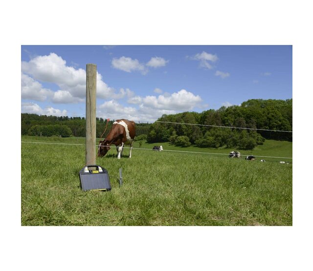 Électrificateur solaire FARMER AS50 avec panneau solaire 10W HORIZONT