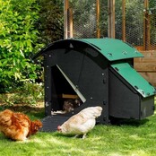 Poulailler recyclé au sol pour 3 à 5 poules petit modèle NESTERA