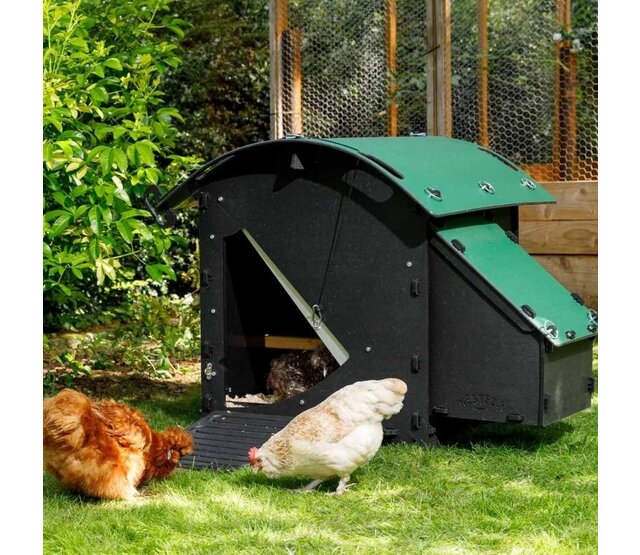 Gerecycled kippenhok voor 3 tot 5 kippen klein model NESTERA