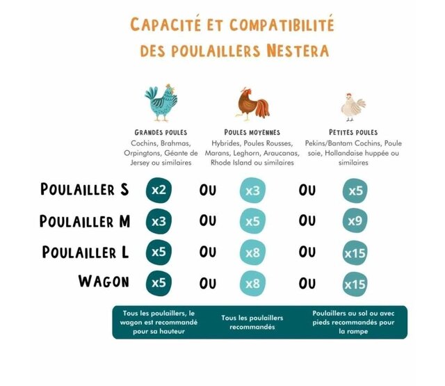Poulailler recyclé au sol pour 5 à 9 poules modèle moyen NESTERA