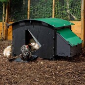 Recycled floor coop for 8 to 15 hens NESTERA large model