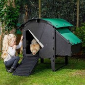 Gerecycled kippenhok met poten voor 5 tot 9 kippen NESTERA middelgroot model