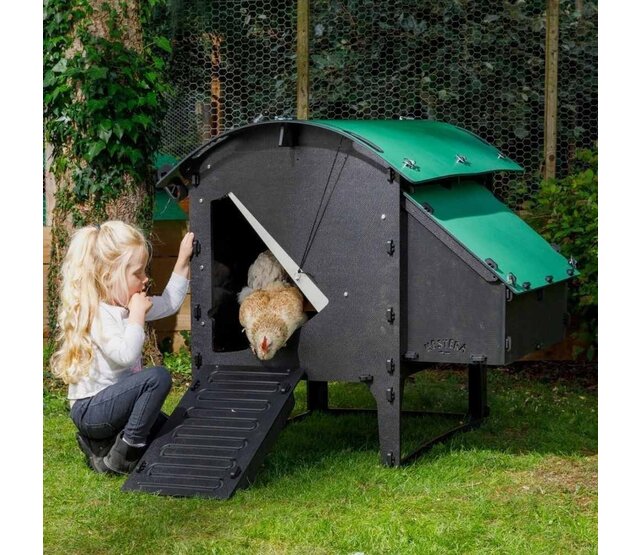 Recycled hen house with feet for 5 to 9 hens NESTERA medium model