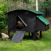 Recycled hen house with feet for 8 to 15 hens large model NESTERA