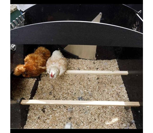 Recycled hen house with feet for 8 to 15 hens large model NESTERA