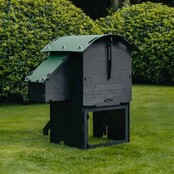 Verhoogd gerecycled kippenhok voor 3 tot 5 kippen klein model NESTERA