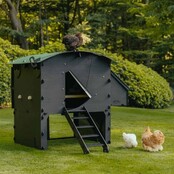 Raised recycled hen house for 8 to 15 hens NESTERA large model