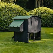 Verhoogd gerecycled kippenhok voor 8 tot 15 kippen, groot model NESTERA Verhoogd gerecycled kippenhok voor 8 tot 15 kippen, groot model NESTERA