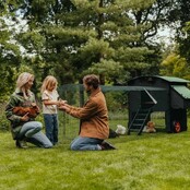 Poulailler recyclé surélevé pour 8 à 15 poules grand modèle NESTERA