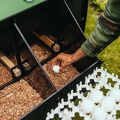 Poulailler recyclé surélevé pour 8 à 15 poules grand modèle NESTERA