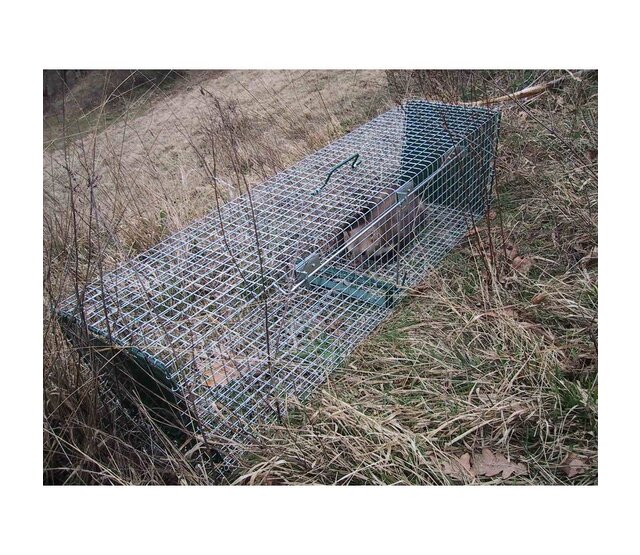 Fawn box, 2 entrances with sliding door 64 x 21 x 21 cm BOXTRAP