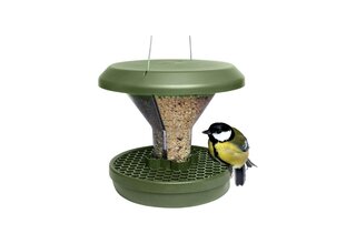 Green bird feeder SMART BIRDS SWISSINNO