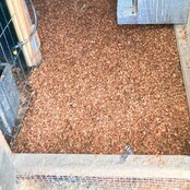 Litière chips de coco 100L 2 en 1 spécial basse-cour CHICK'A Litière chips de coco 100L 2 en 1 spécial basse-cour CHICK'A