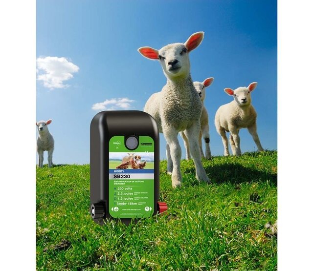 Mobiele afrasteringsset voor pluimvee, 50 m net, gemengde palen