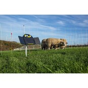 Kit de clôture mobile pour volailles filet 50m poste solaire Kit de clôture mobile pour volailles filet 50m poste solaire