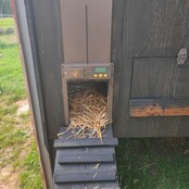 Automatic doorman for chicken coop CHICK'A Automatic doorman for chicken coop CHICK'A