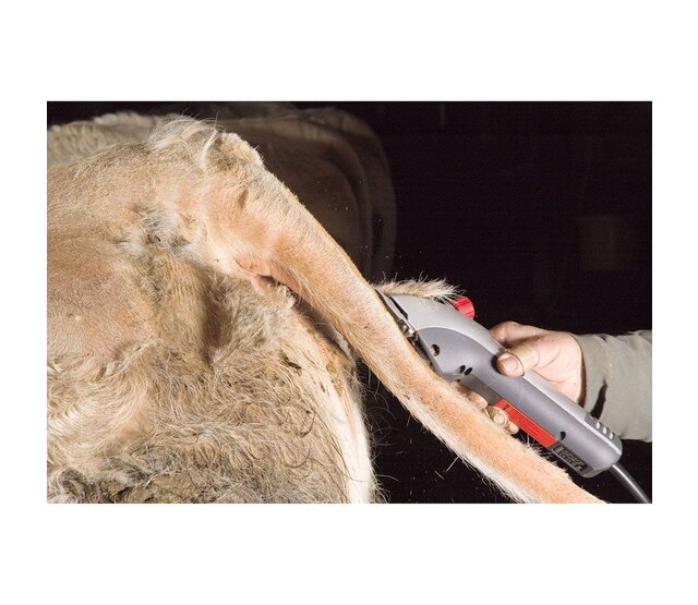 Clipper DELTA 3 speed HEINIGER