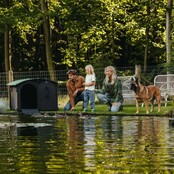 Gerecycled onderdak voor eenden en ganzen NESTERA