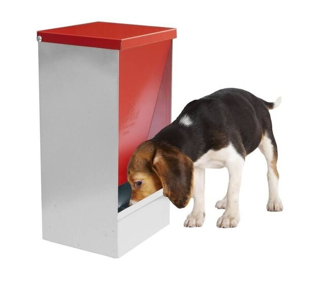 CAN galvanised sheet metal hopper feeder 27L for dogs COPELE