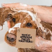 Natuurlijke shampoo voor honden met een witte vacht 1L PURALIA