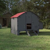 Harmony by Chick'A® 8-hen coop Harmony by Chick'A® 8-hen coop