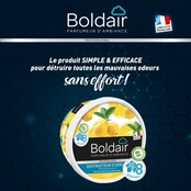 Destructeur d'odeurs en gel citron 300 g BOLDAIR Destructeur d'odeurs en gel citron 300 g BOLDAIR