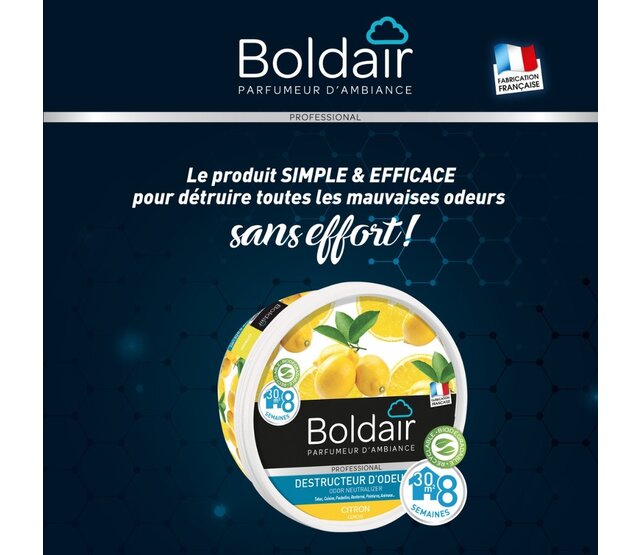 Destructeur d'odeurs en gel citron 300 g BOLDAIR Destructeur d'odeurs en gel citron 300 g BOLDAIR