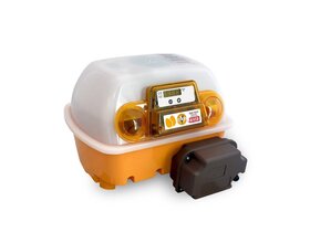 Couveuse automatique 12 œufs CHICK'A