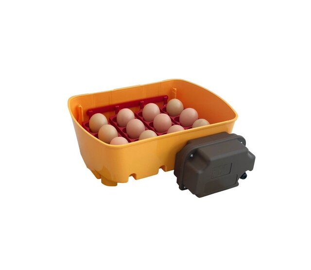 12-egg automatic poultry incubator CHICK'A