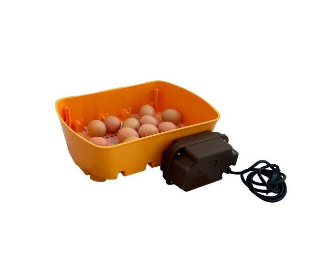 Couveuse automatique pour volailles 12 œufs CHICK'A
