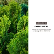 Hypoallergene droogshampoo voor honden en katten 190 ml HYPONIC