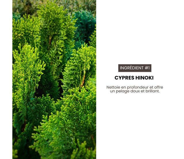 Hypoallergenic dry shampoo for dogs and cats 190 ml HYPONIC Hypoallergenic dry shampoo for dogs and cats 190 ml HYPONIC