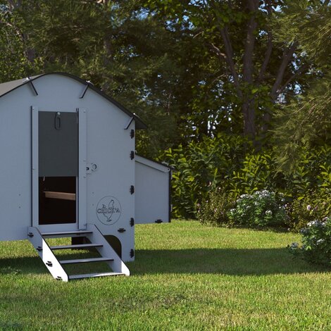 Comment choisir le poulailler idéal ? 