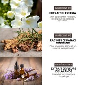 Shampoing professionnel hypoallergénique Premium Grooming Artist pour chiens 3,8L spécial HYPONIC