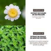 Shampoing professionnel hypoallergénique Premium Grooming Artist pour chiens 3,8L spécial HYPONIC