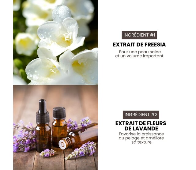 Shampoing volume  professionnel hypoallergénique Premium Grooming Artist pour chiens 3,8L spécial HYPONIC Shampoing volume  professionnel hypoallergénique Premium Grooming Artist pour chiens 3,8L spécial HYPONIC