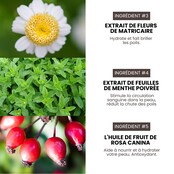 Shampoing volume  professionnel hypoallergénique Premium Grooming Artist pour chiens 3,8L spécial HYPONIC Shampoing volume  professionnel hypoallergénique Premium Grooming Artist pour chiens 3,8L spécial HYPONIC