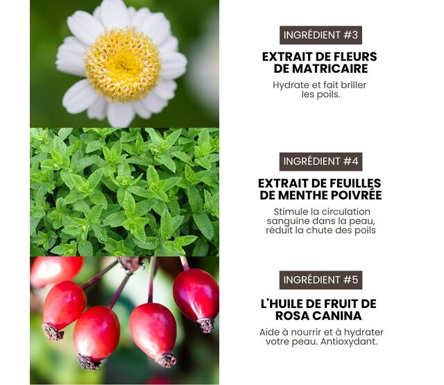 Shampoing volume  professionnel hypoallergénique Premium Grooming Artist pour chiens 3,8L spécial HYPONIC Shampoing volume  professionnel hypoallergénique Premium Grooming Artist pour chiens 3,8L spécial HYPONIC