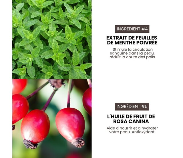 Shampoing intense professionnel hypoallergénique Premium Grooming Artist pour chiens 3,8L spécial HYPONIC Shampoing intense professionnel hypoallergénique Premium Grooming Artist pour chiens 3,8L spécial HYPONIC