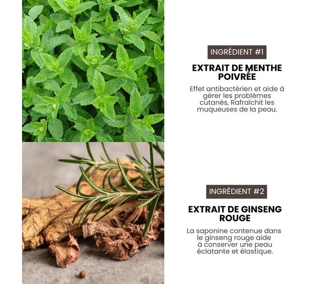 Après-shampoing professionnel nettoyant et volume (Cleasing & Volumizing) pour chiens 3,8L HYPONIC Après-shampoing professionnel nettoyant et volume (Cleasing & Volumizing) pour chiens 3,8L HYPONIC